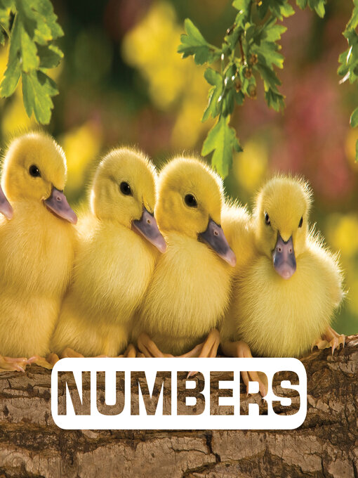 Title details for Numbers by Judith Nouvion - Available